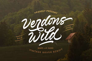 Verdons Wild - Vintage Brush Script, a Script Font by Bale Type