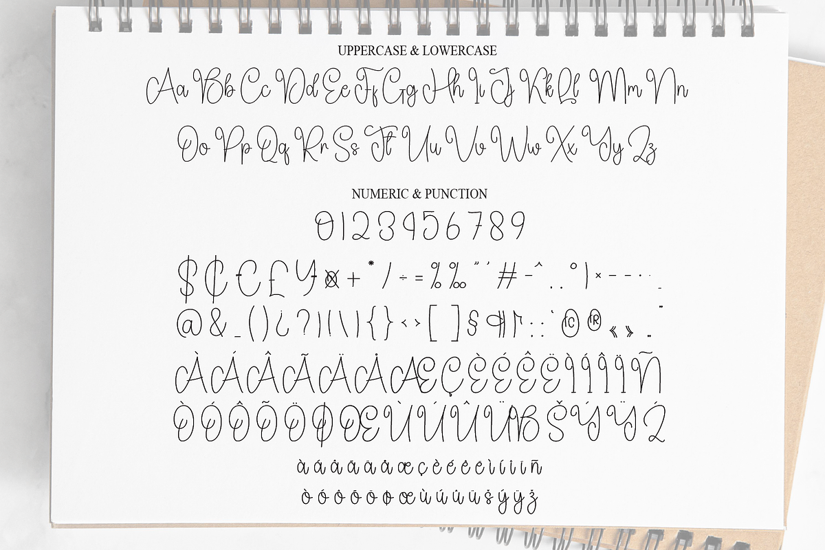 Notebook | Script Font, a Handwritten Font by Scratchones (Photo 7 of 8)