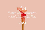 Luckiest | Stylish Serif Font, a Serif Font by Krismagraph (Thumbnail 6 of 16)