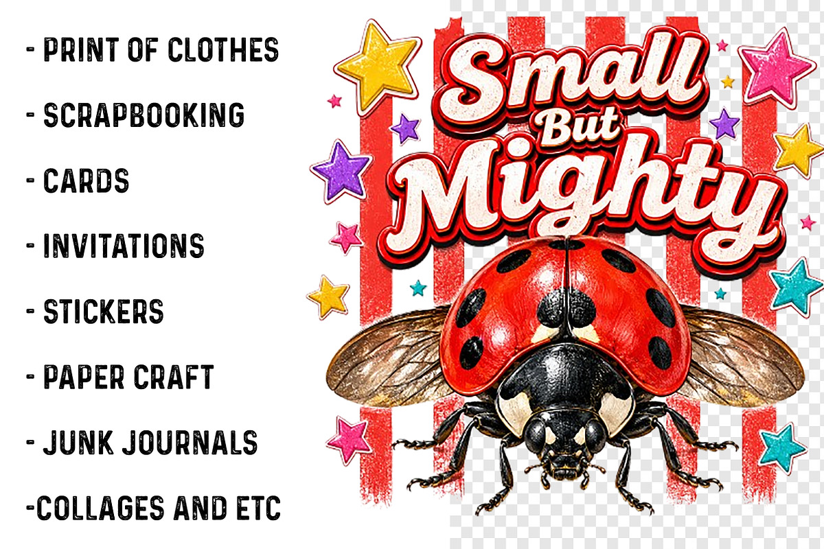 Preppy Summer Insect Clipart Bundle, a Transportation Illustration by ...