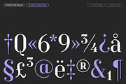 TT Moons, a Serif Font by TypeType (Thumbnail 12 of 12)
