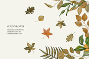 Fall watercolor illustrations, a Seasonal Illustration by AS Studio (Thumbnail 2 of 5)