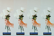 Fuji Pro 160NS — Lightroom, a Preset Add-On by colorituals (Thumbnail 2 of 8)