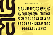 Waren Modern Creative Branding Font, a Sans Serif Font by Sensatype (Thumbnail 12 of 13)