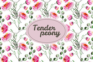 Tender peony patterns and elements