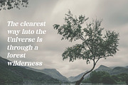 Norevia | Elegant Serif Typeface, a Serif Font by Artdez (Thumbnail 5 of 5)