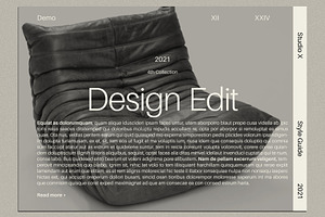 Brand Style Guide Template InDesign