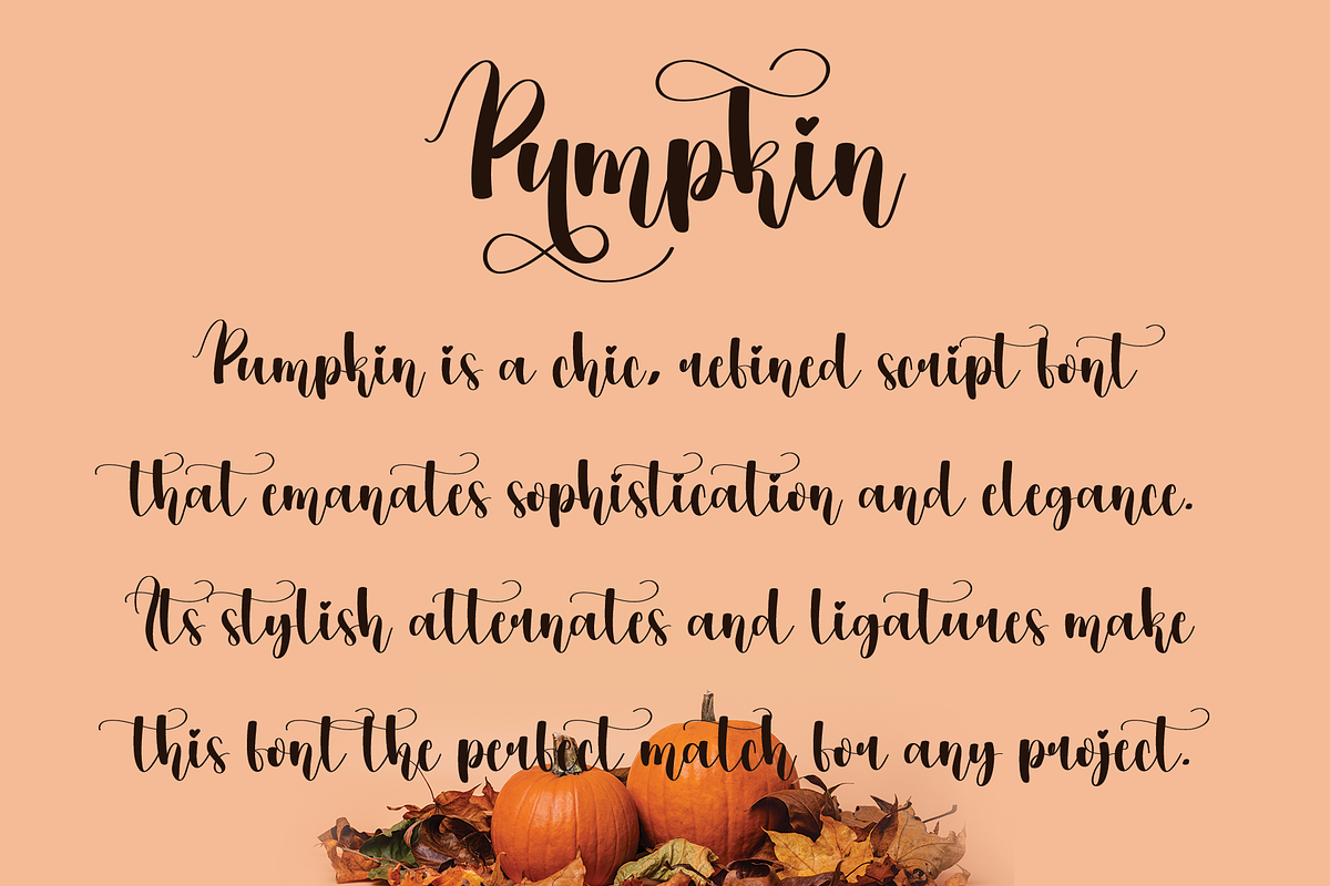 Pumpkin | Script font, a Script Font by Scratchones (Photo 2 of 8)