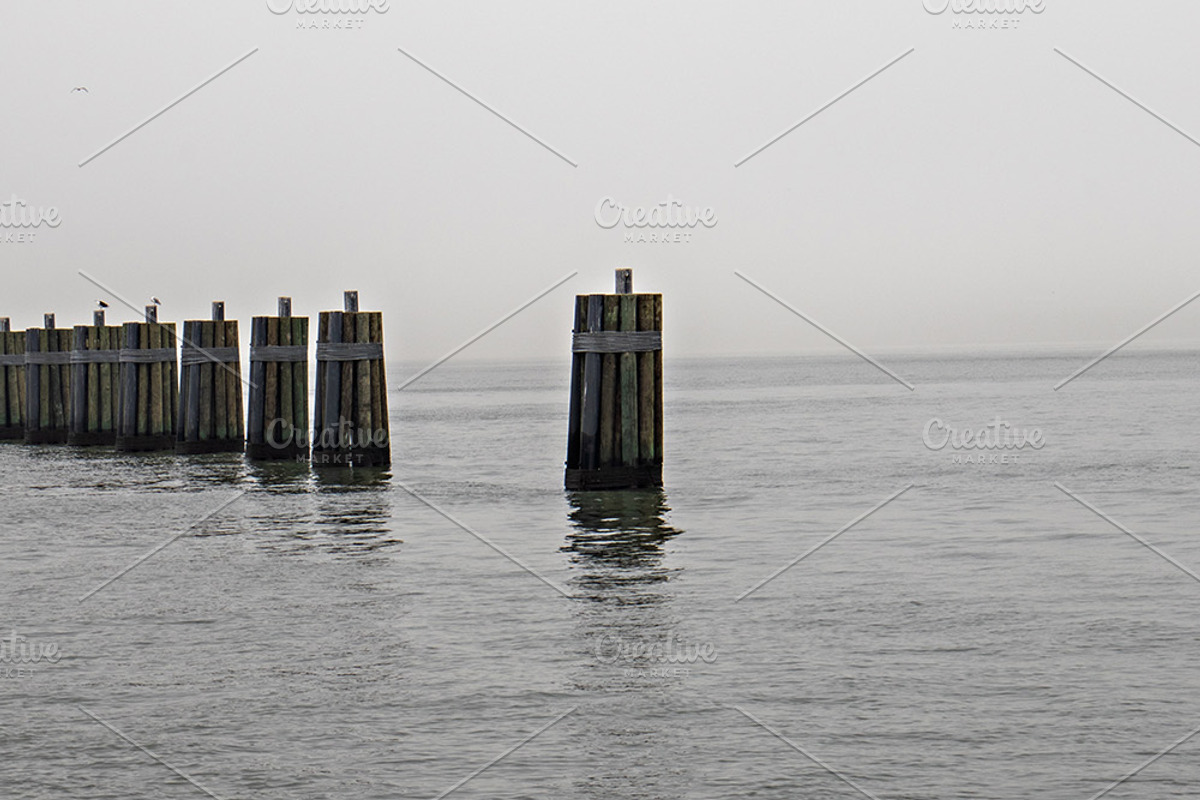 Foggy Photo Bundle, a Nature Photo by Full Circle Design Studio (Photo 6 of 8)