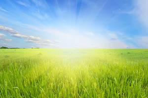 summer landscape, a Wallpaper Photo by Liliia Rudchenko