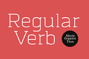Abula (Update v1.1), a Slab Serif Font by Typesketchbook Foundry (Thumbnail 5 of 5)