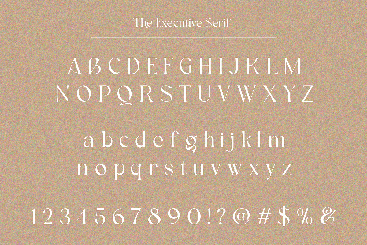The Executive Casual, a Serif Font by Fontsgood (Photo 6 of 13)