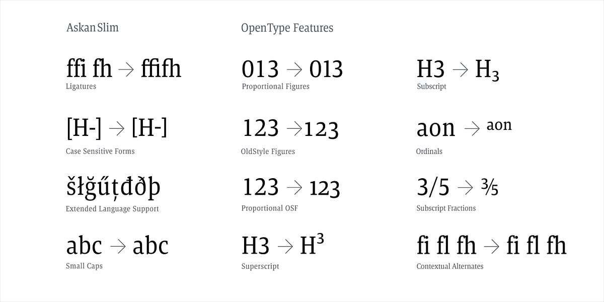 Askan Slim, a Serif Font by Hoftype (Photo 12 of 14)
