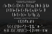White, a Handwritten Font by FreshTypeINK (Thumbnail 3 of 8)