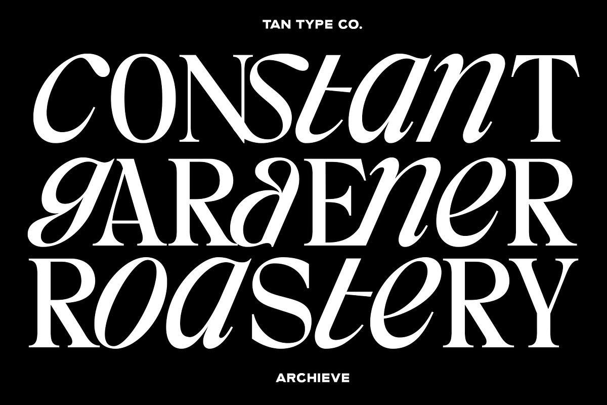 TAN - ARCHIEVE, a Serif Font by TanType (Photo 4 of 11)