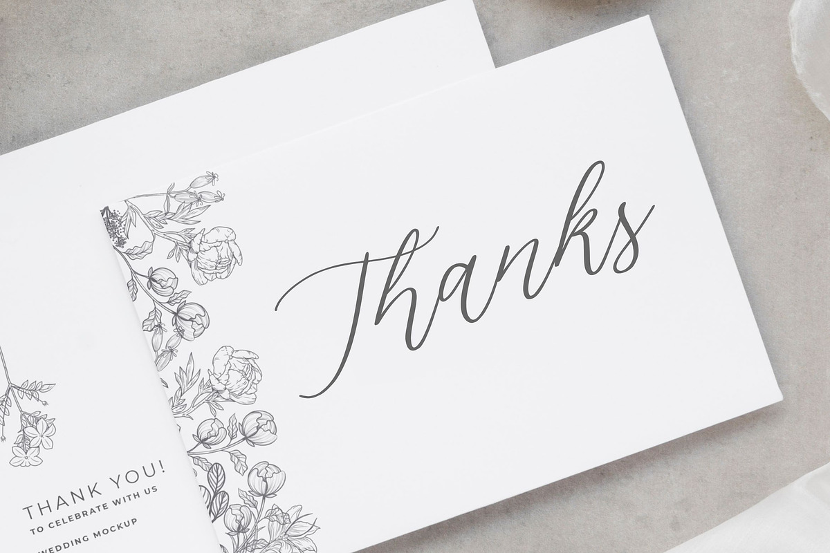 Silverweed - Calligraphy Script Font, a Script Font by Balpirick Studio (Photo 7 of 7)