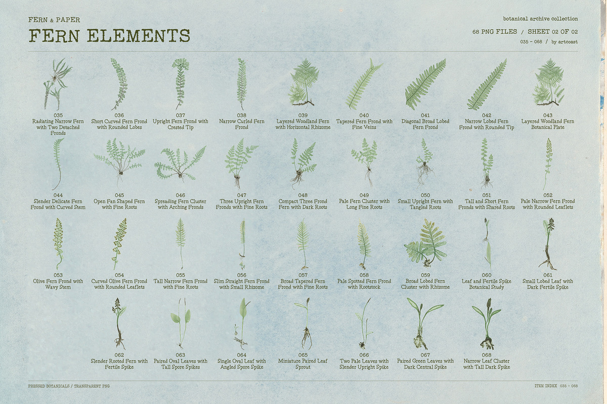 Fern & Paper Archive, a Background Graphic by nadispasibenko (Photo 6 of 10)