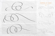 Vector Flourishes, a Decorative Illustration by Little Pixel Shop (Thumbnail 2 of 5)