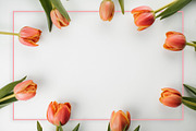 Easter Stock Photo Bundle - 75% OFF!, a Holiday Photo by GetMockups (Thumbnail 11 of 21)