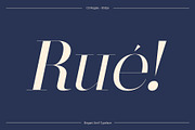CS Regale – Elegant Serif Font, a Serif Font by Craft Supply Co. (Thumbnail 2 of 8)