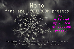 Mono Fine Art Lightroom Presets