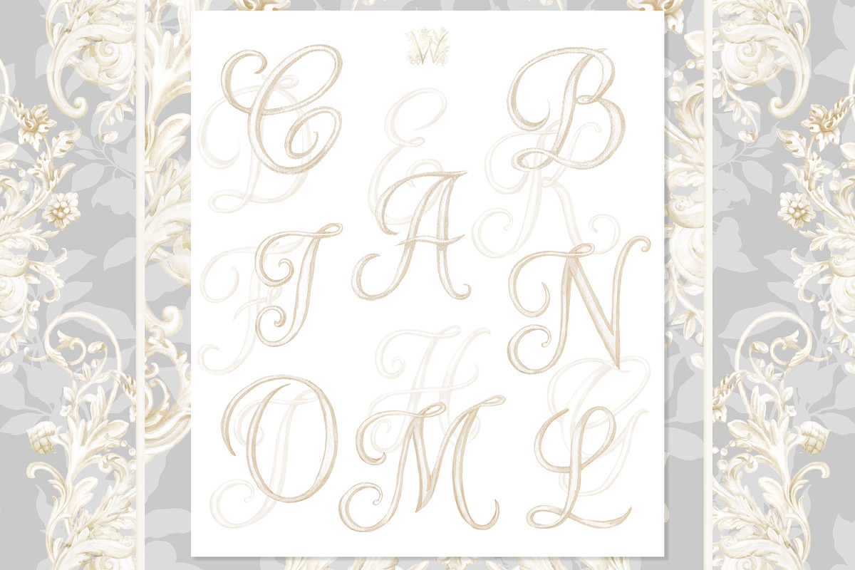 Family royal Crest Watercolor, a Decorative Illustration by WonderWonder (Photo 4 of 11)
