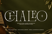 Chaleo - Stylish Ligature Serif Font, a Serif Font by RagamKata (Thumbnail 1 of 10)