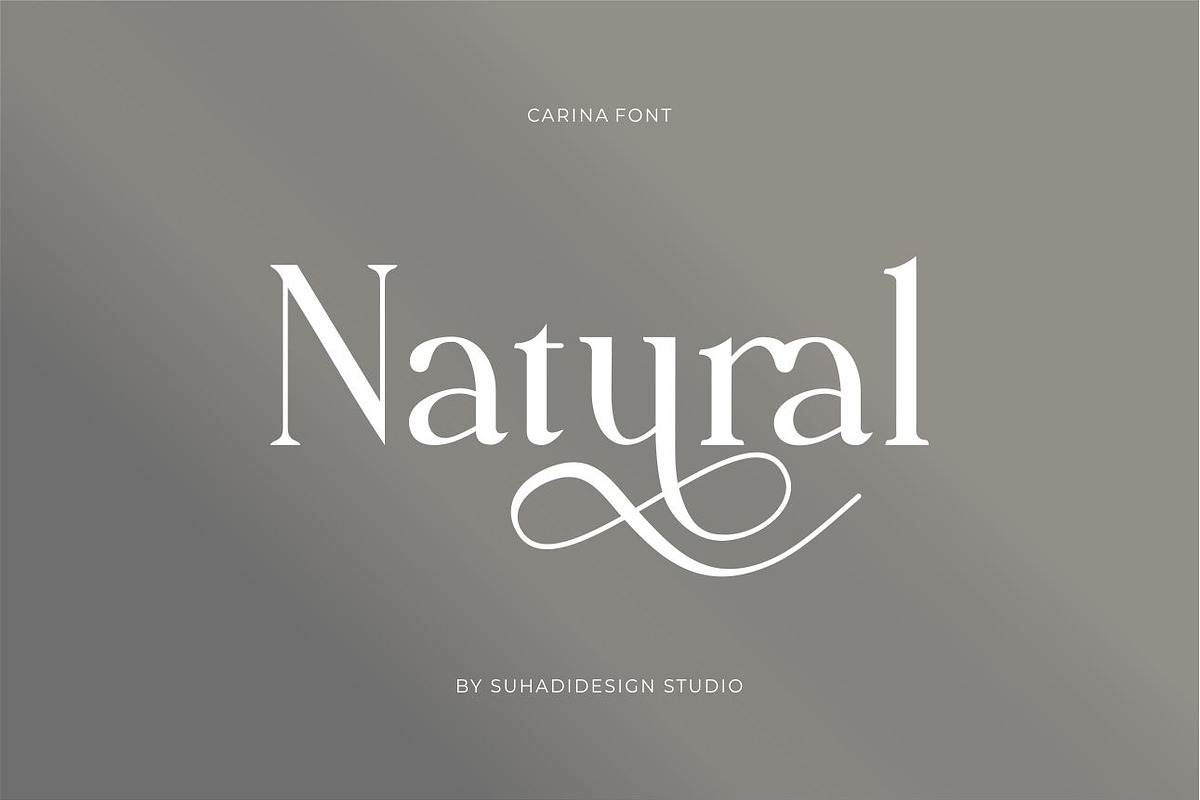 Carina classy elegant font, a Serif Font by suhadidesign (Photo 6 of 14)