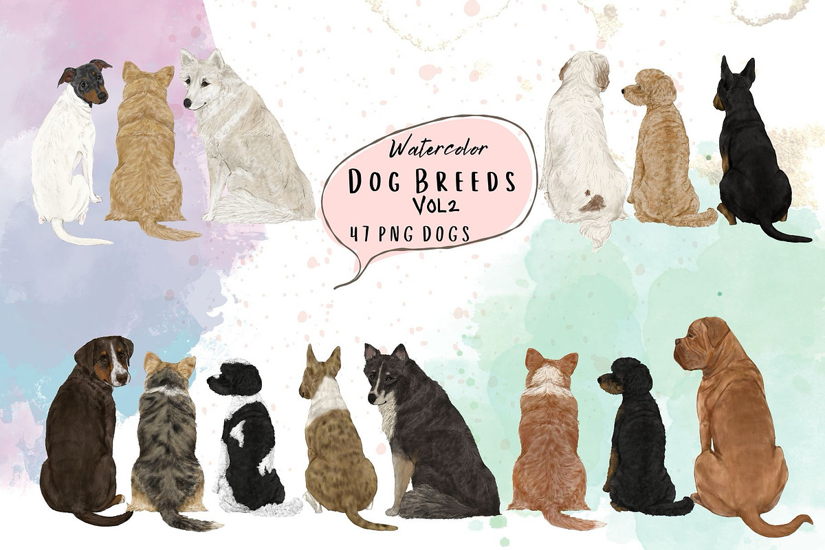 Watercolor dog breed clipart, an Animal Illustration by ColorfulPT (Photo 1 of 8)