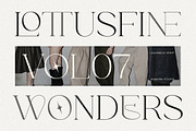 Classy Elegant Serif - Louisbele, a Serif Font by Shakira Studio (Thumbnail 4 of 10)