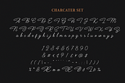 Houstoner Script + EXTRAS! (40%OFF), a Script Font by Martype (Thumbnail 2 of 14)