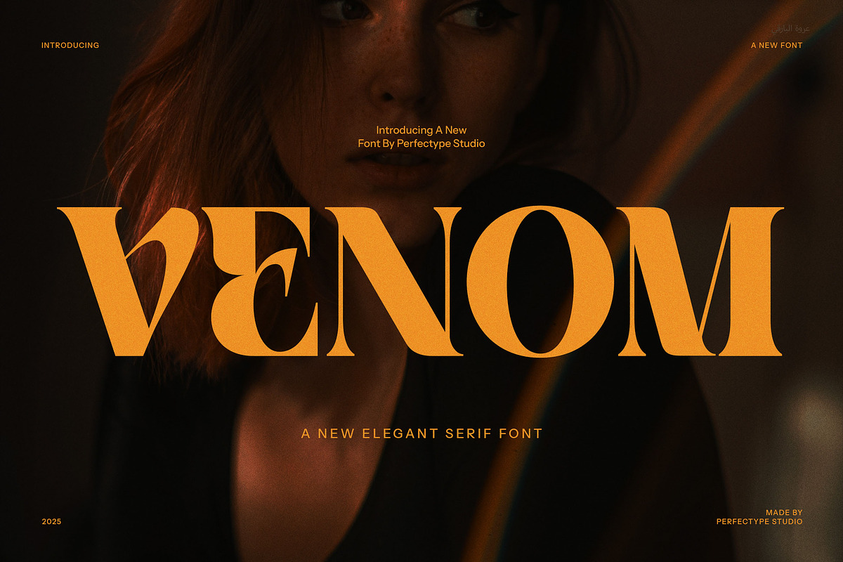 Venom Elegant Serif Font, a Serif Font by Perfectype (Photo 1 of 8)