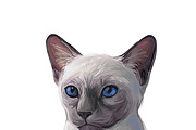 Cats and Kittens, 160 png breeds, an Animal Illustration by Dneprstock (Thumbnail 10 of 11)