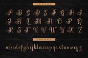 Stejita | Tattoo Script Font, a Script Font by Denustudios (Thumbnail 10 of 14)
