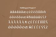 Geyster Modern/Vintage Font, a Serif Font by Lettertype Studio (Thumbnail 8 of 10)