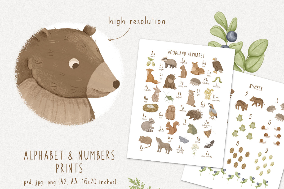 Woodland animals. Alphabet & Pattern, an Animal Illustration by polikarpovaart (Photo 3 of 12)