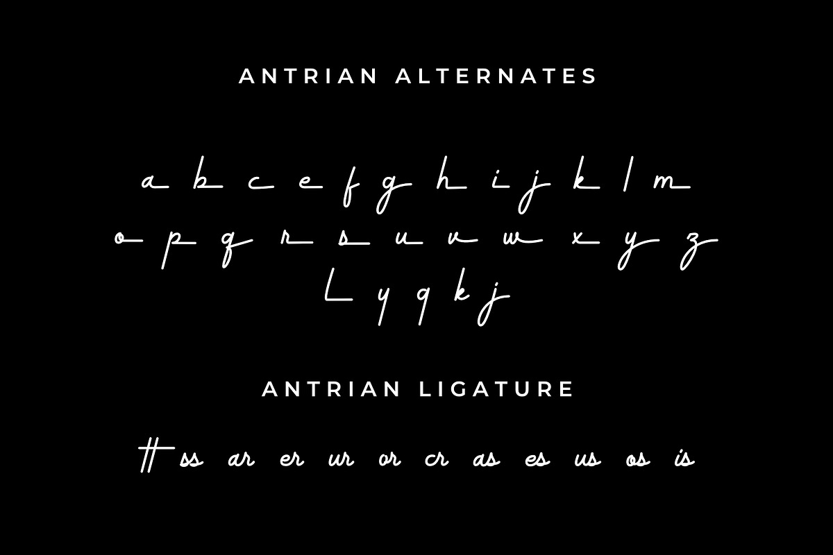 Antrian Script, a Script Font by Andika Fez (Photo 8 of 12)
