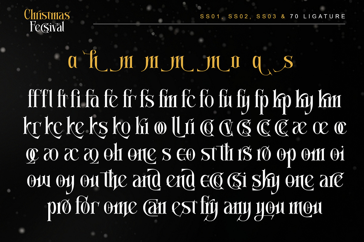 Christmas Fecsival – Elegant Serif, a Serif Font by Letterara (Photo 13 of 15)