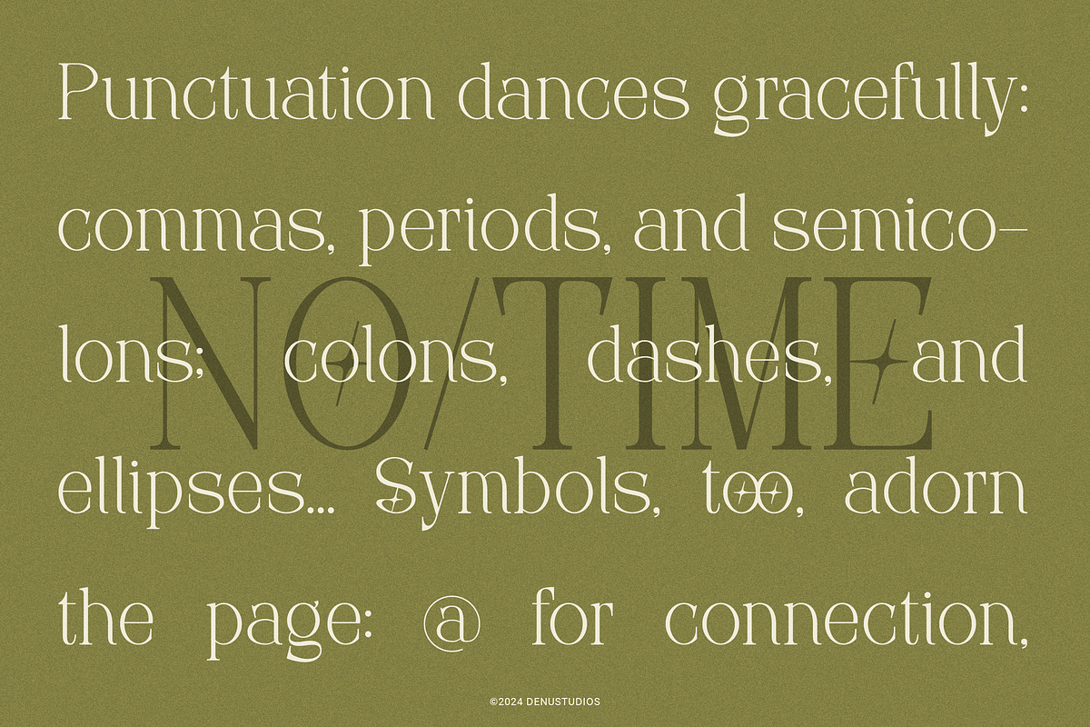 Frieren La Belle | Modern Serif, a Serif Font by Denustudios (Photo 2 of 13)