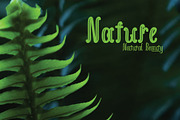 Helliya Duo Style, a Sans Serif Font by PollemSt (Thumbnail 4 of 7)