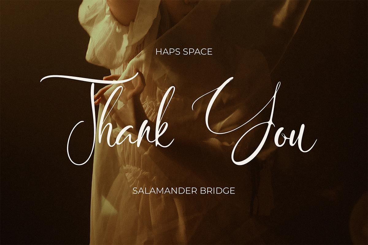 Salamander Bridge Classy Script, a Script Font by Haps Space (Photo 10 of 10)
