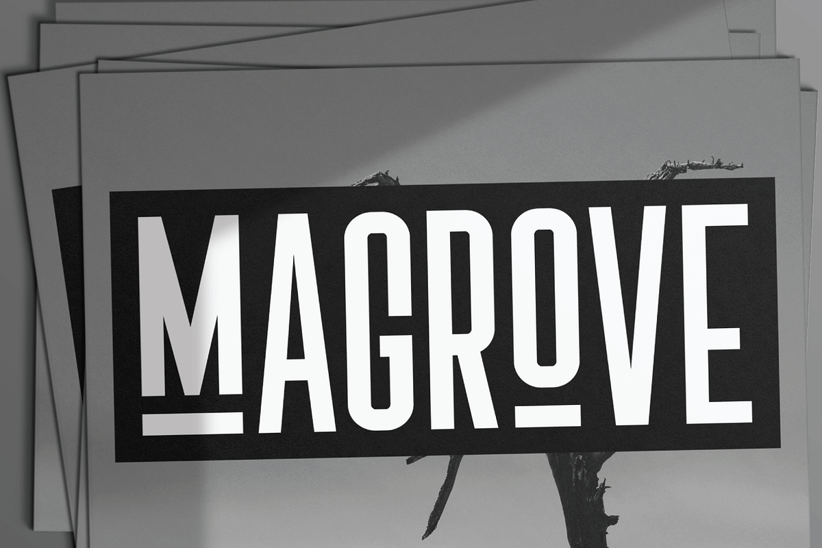 Singa, a Sans Serif Font by Linecreative (Photo 6 of 8)