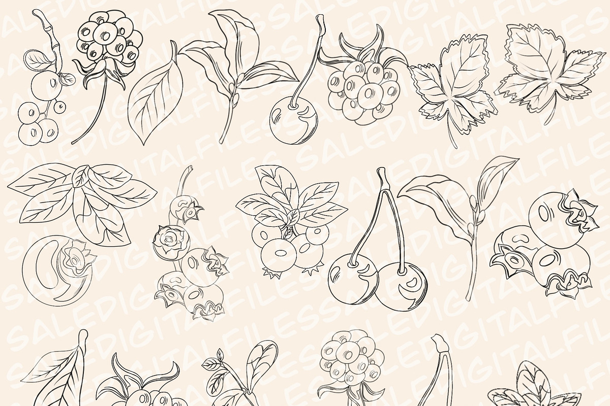 Forest Berries Digital Stamps, a Graphic by Favorites_Art (Photo 2 of 6)