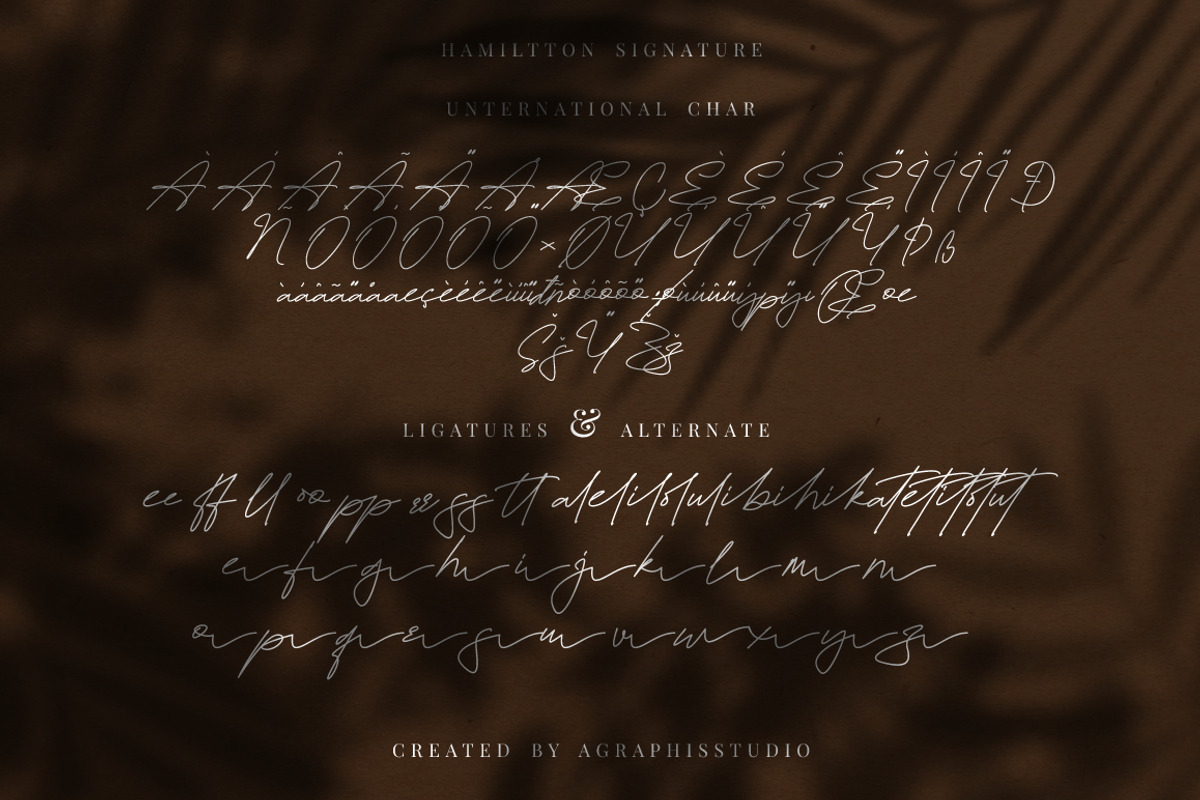 Hamiltton Signature Business Font, a Script Font by KennedyStudio (Photo 9 of 11)
