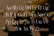 Charlotten - Elegant & Stylish Serif, a Serif Font by RockboyStd (Thumbnail 9 of 12)