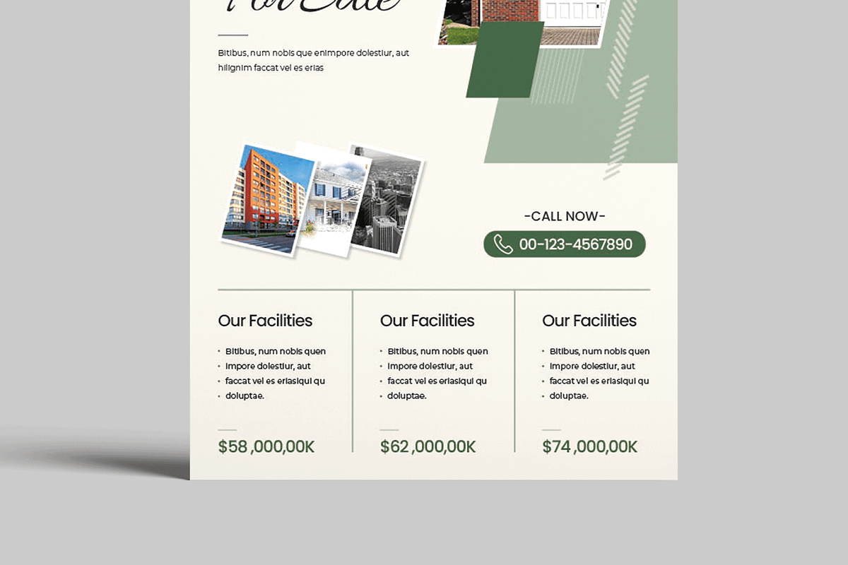 Home Sale Flyer Template, a Flyer Template by MightyDesign (Photo 5 of 8)