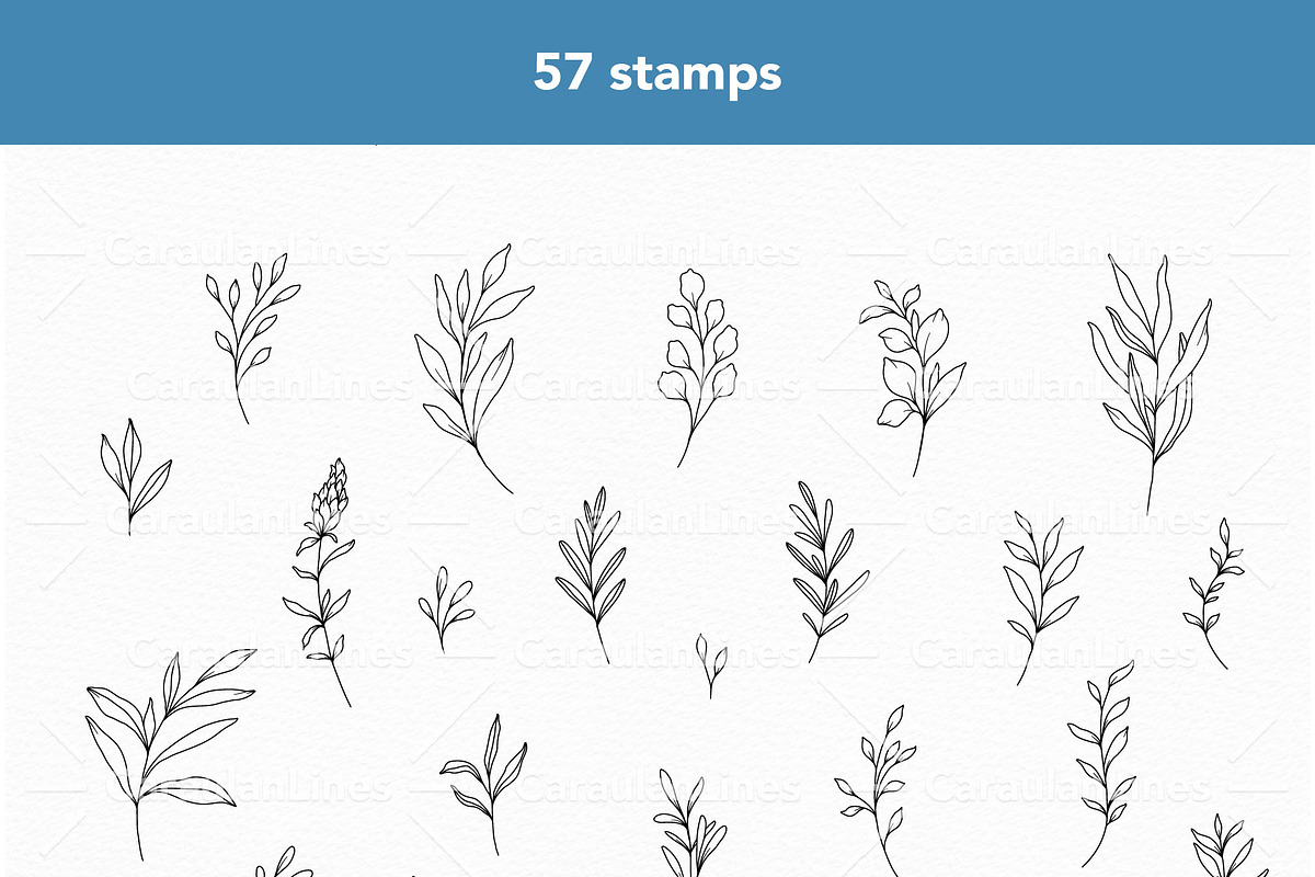 Greenery Procreate Stamps, a Brush Add-On by CaraulanStore (Photo 5 of 8)