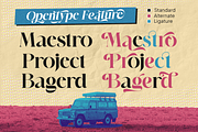 Astralis Stylish Display Font, a Serif Font by Vampstudio (Thumbnail 6 of 16)