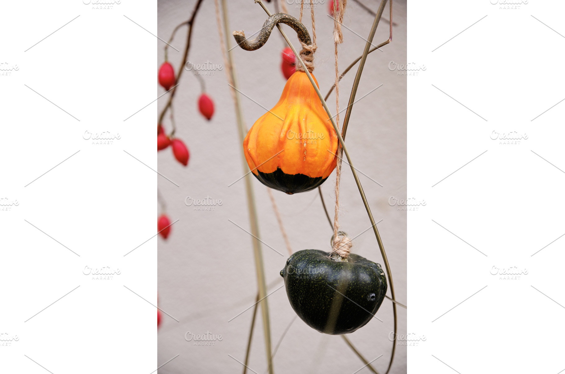 Close-up shot of two small gourds, a Food & Drink Photo by Rohan Photography