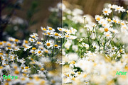 Summer Photoshop Actions 290 Bundle, an Action Add-On by ARTNEST (Thumbnail 2 of 12)